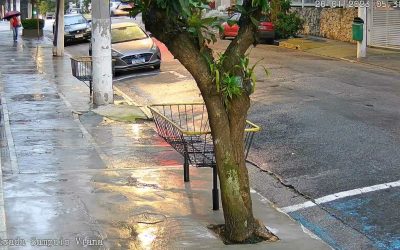 405760314_1731161170723274_4336573243041818857_n